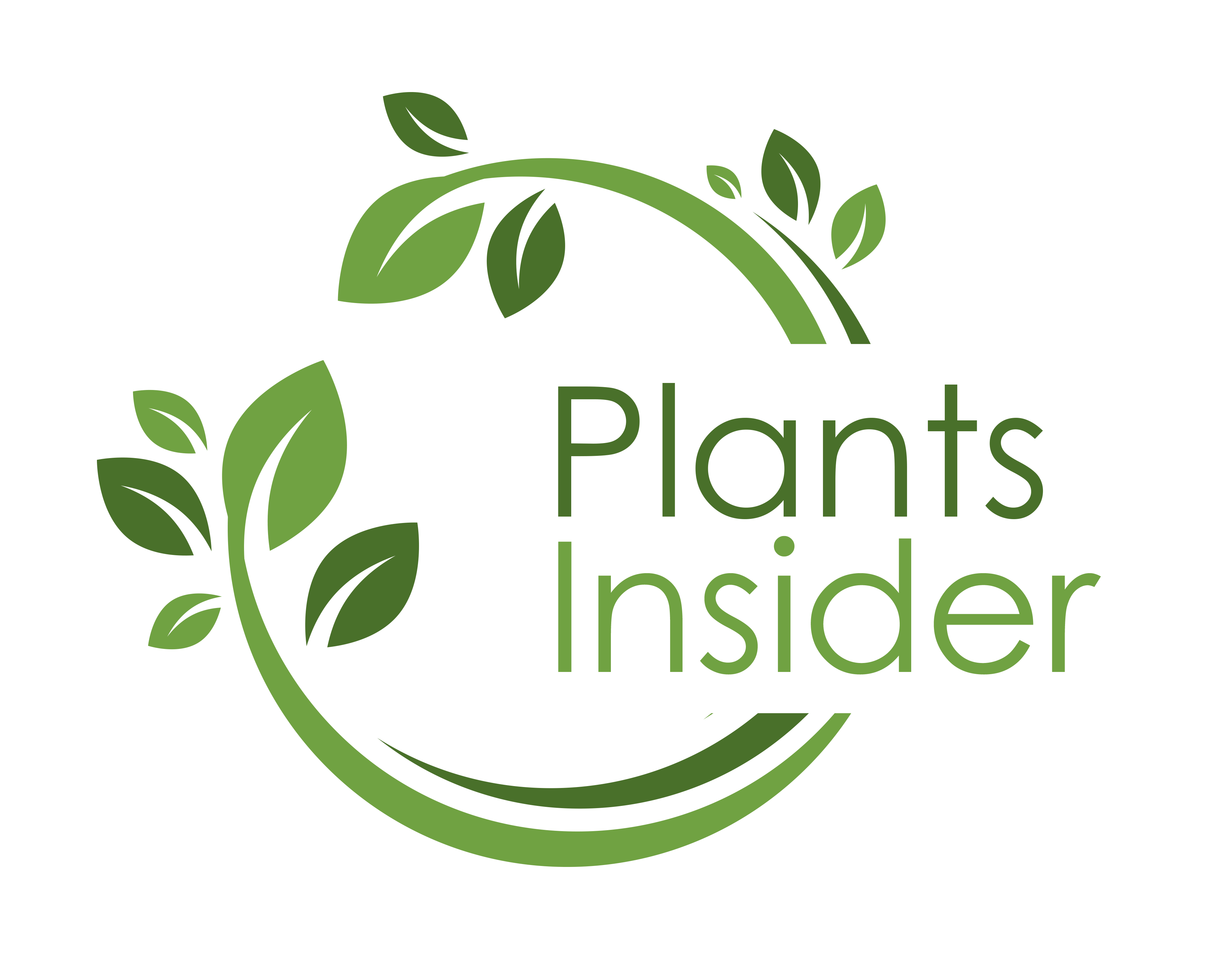 Plants Insider